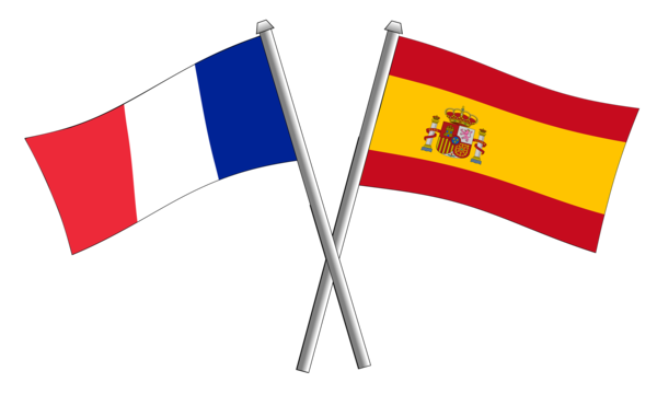 Fachtextübersetzungen für die französische und spanische Sprache